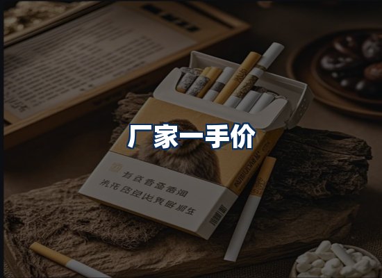 专业团队办公环境